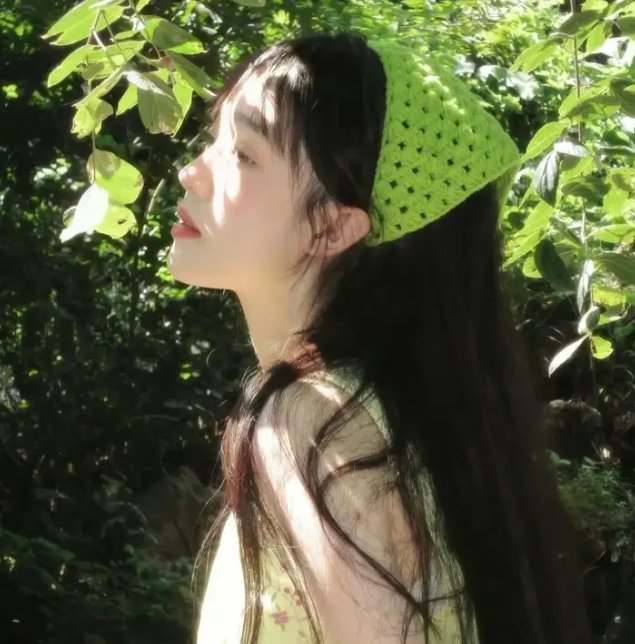 青松岭 封面
